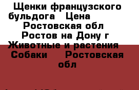 Щенки французского бульдога › Цена ­ 8 000 - Ростовская обл., Ростов-на-Дону г. Животные и растения » Собаки   . Ростовская обл.